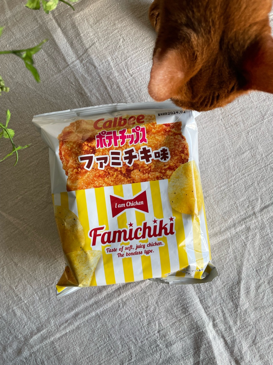 ファミリーマート限定「ポテトチップス ファミチキ味」を食べて