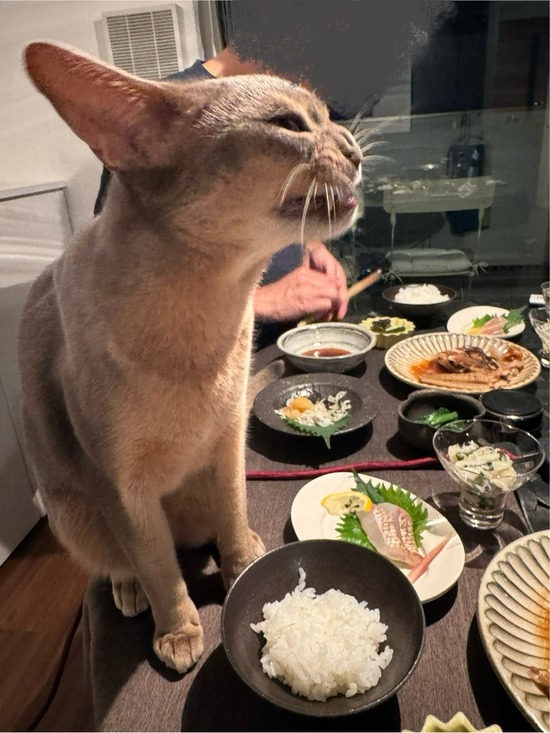 FullSizeRender