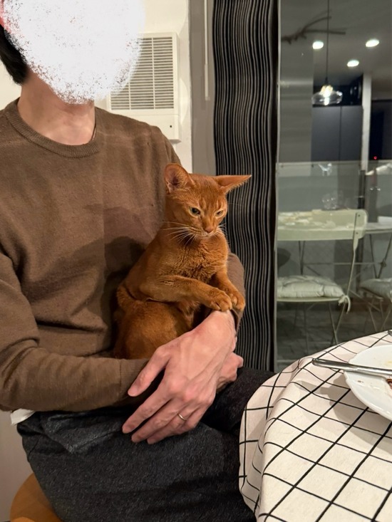FullSizeRender
