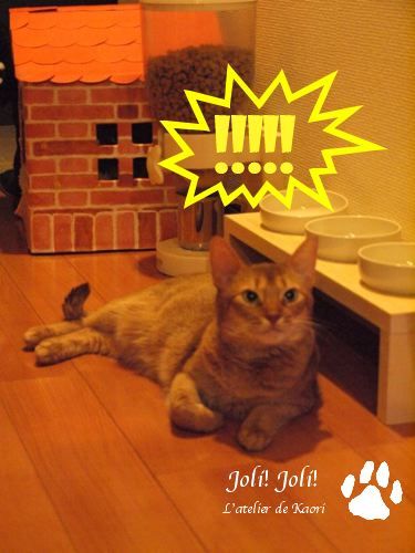 joli!joli!のおうちごはんとおかしとねこ♪