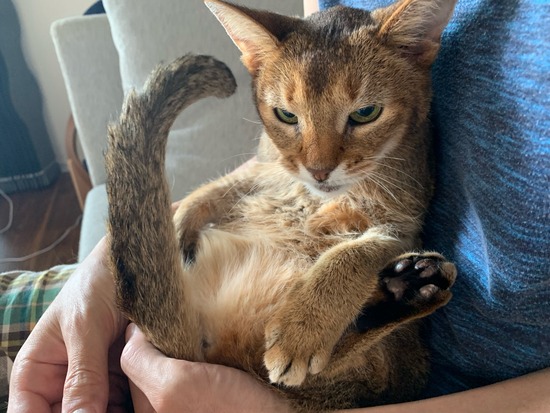 18ED60B9-87CB-432D-B12B-2288A875FEFA