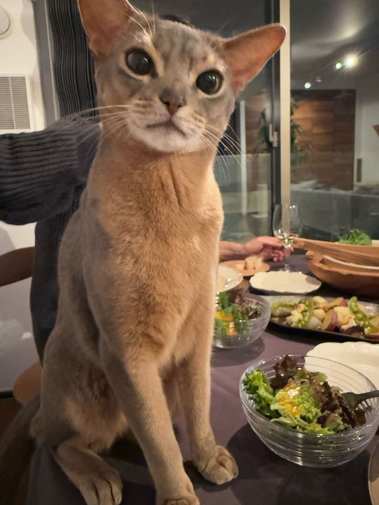 IMG_0854