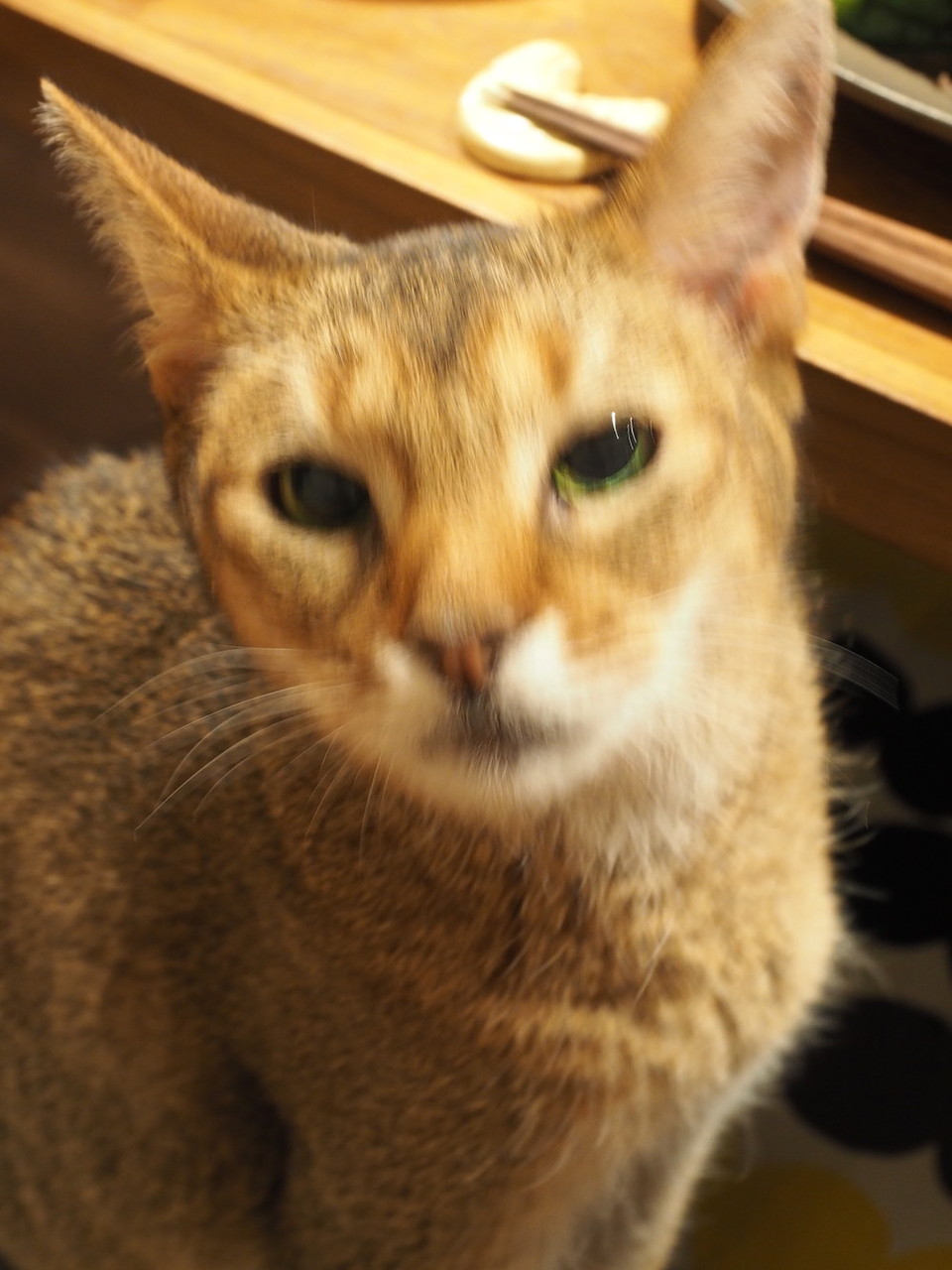 ピーマン丸ごと牛細炒めの夜ご飯と、上目遣いがすぎるとの : おうち 