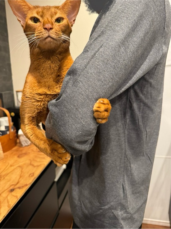 FullSizeRender