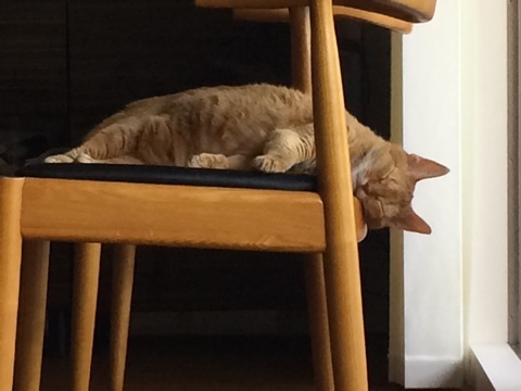 {F8F8146B-7A45-41FC-A11A-B0297BACA237:01}