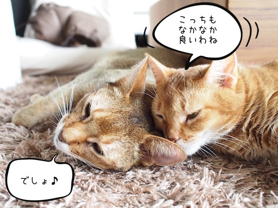 021BB7BA-7274-4D18-A44B-F17F0170AB9A