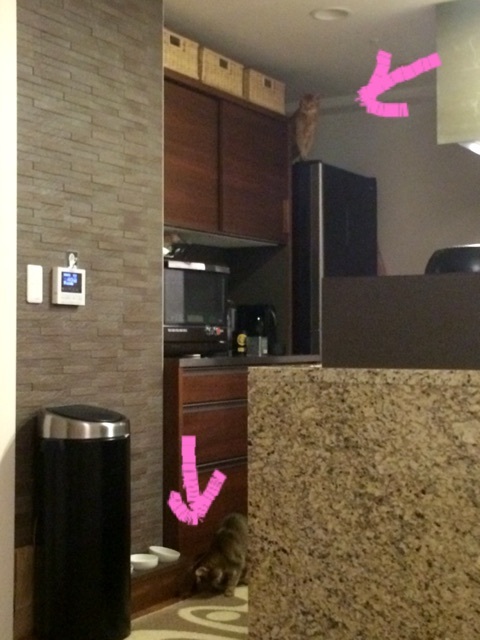 {0EE62A93-9B64-48D9-92A6-F49FBA9865D1:01}