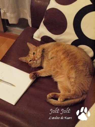 joli!joli!のおうちごはんとおかしとねこ♪