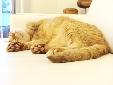 {B3924E35-A214-498F-8B8C-AEB088F9E2FA:01}