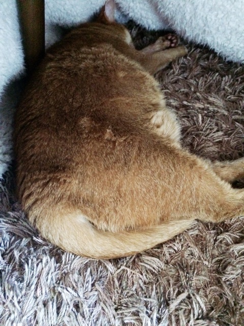 {6BBE053A-A248-4160-8C3E-57E1E32D96BA:01}