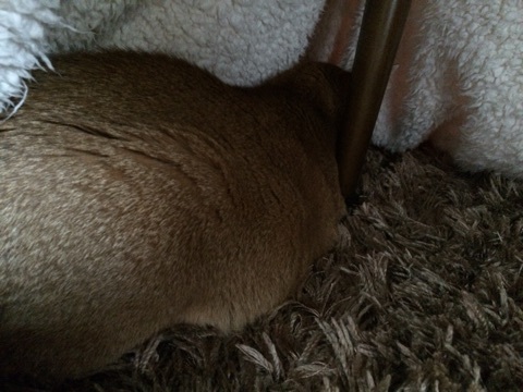 {78093873-C1A1-4499-B95A-EA845F848E84:01}