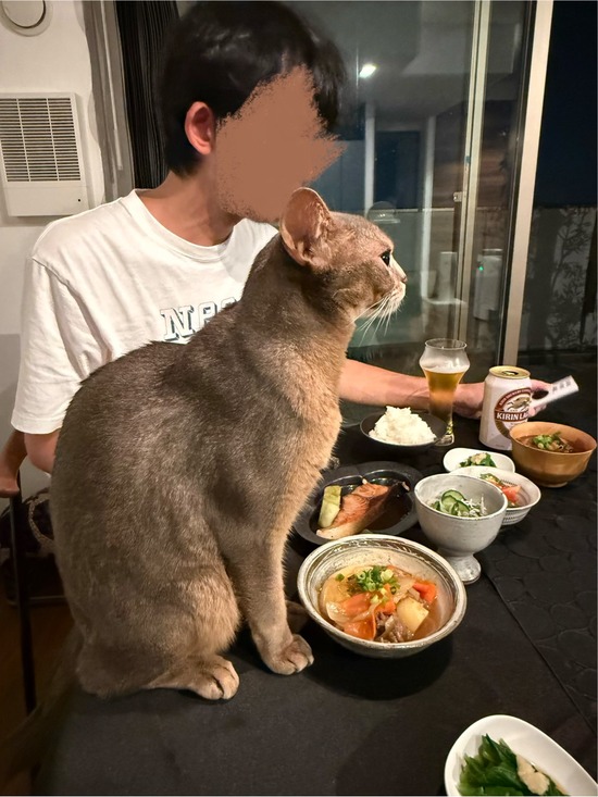FullSizeRender