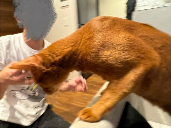 FullSizeRender