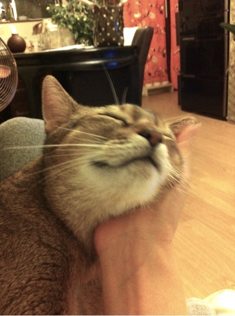 {8B657413-FA44-46C6-A18C-A461FB8E089E:01}