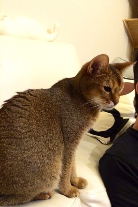 {5D46C231-7931-41A9-9CA6-F3CD4CB67DB1:01}