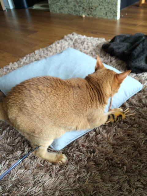 {DCD0290F-F22B-4F39-B43A-2CDAB8EFA903:01}