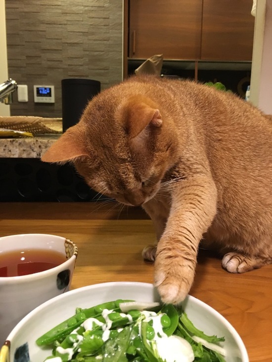 F19A4BE5-EE30-48CD-9AC4-99C04E8E853B