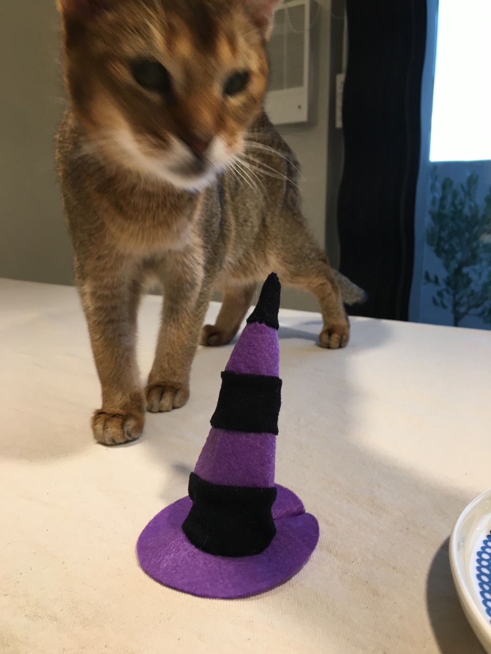 ハロウィン仕様のニャンズと Lineのハロウィン背景と セブンイレブンの黒猫ケーキ おうちごはんとおかしとねこ Powered By ライブドアブログ ハロウィン仕様のニャンズと Lineのハロウィン背景と セブンイレブンの黒猫ケーキ おうちごはんとおかしとねこ Powered By ライブドアブログ