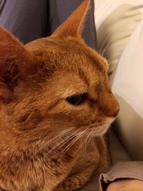 {55E0D57E-7A90-444C-8ADB-8D06B5F487A9:01}