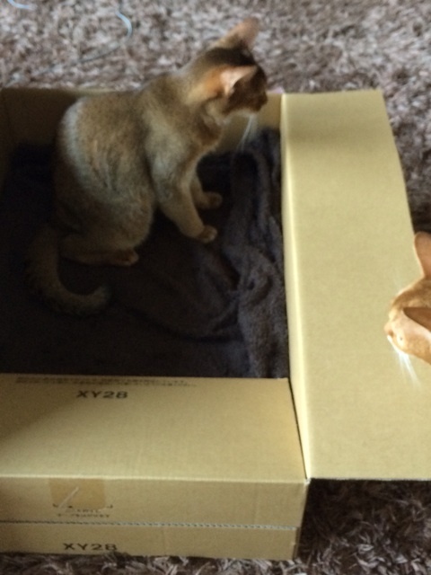 {388BB1A6-6D64-485B-BF6D-E584AE3D5BCF:01}