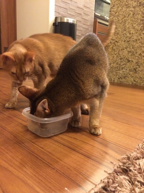 {A007560B-574F-4CAF-A7BE-C4ADE930BAE0:01}