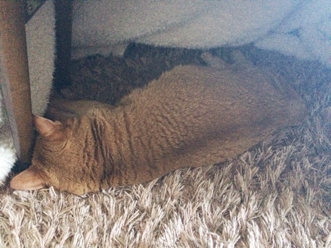 {DBCBD2BF-438F-42F2-B9CB-58FC54672D13:01}