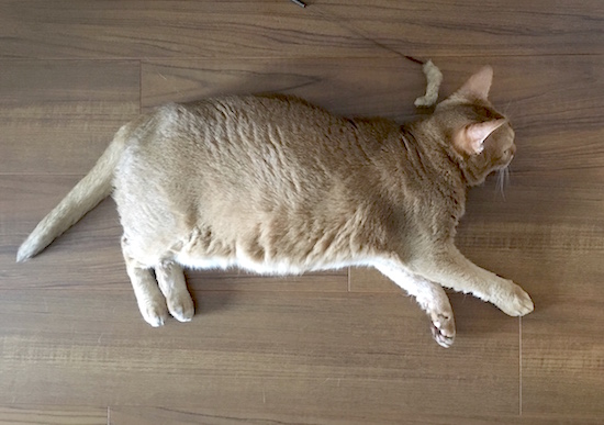 180B1E13-D554-4E13-8E93-A271B828A3C6