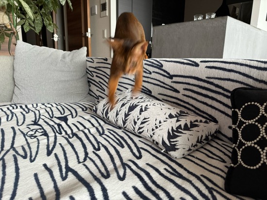 IMG_4315