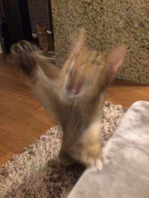 {FC6BFE4D-6076-4504-972B-E9F19AFAB331:01}