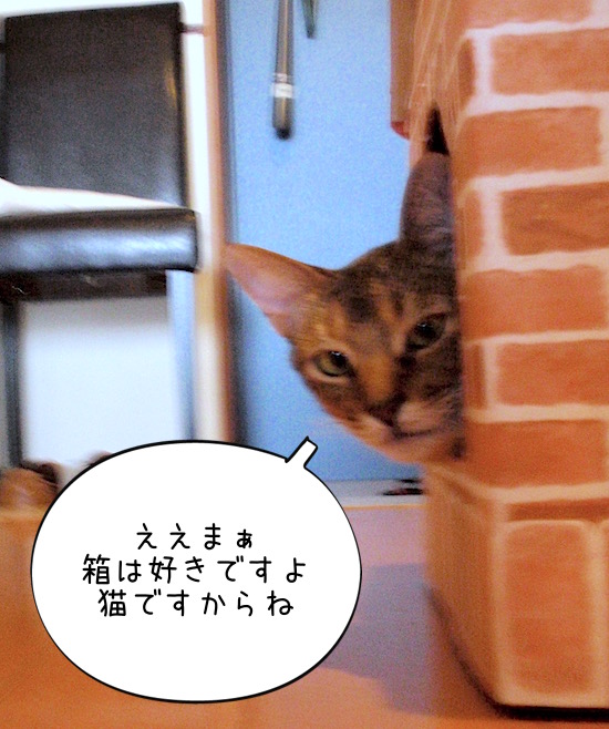 P5160195 のコピー