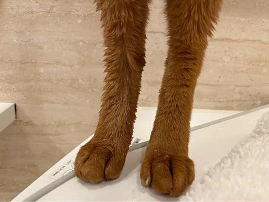 FullSizeRender