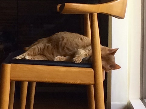 {0483A2F6-2F1C-4087-883C-61C7F863CEEA:01}