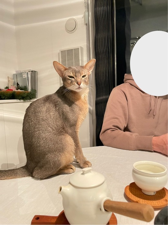 FullSizeRender