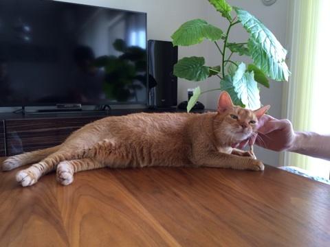 {44A3A45D-2168-488C-84E7-D610DE5D9AF1:01}