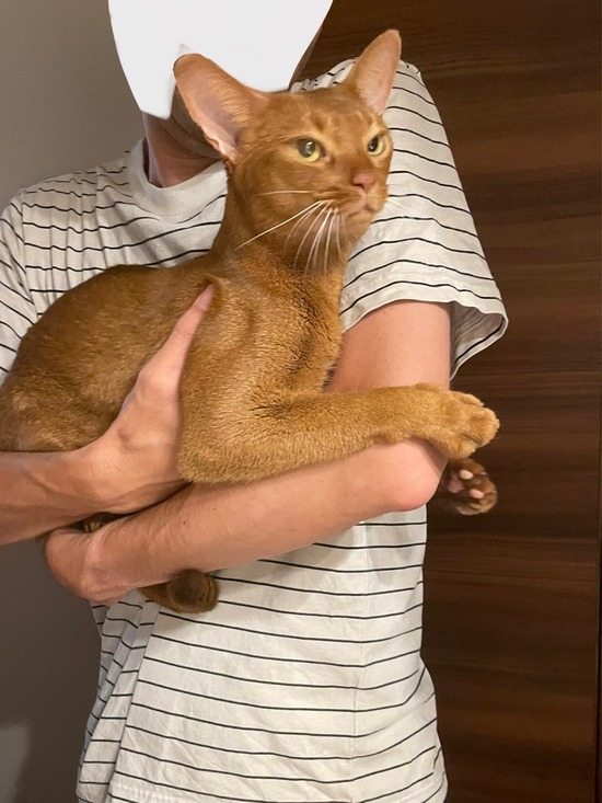 FullSizeRender