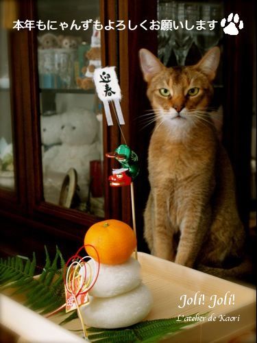 joli!joli!のおうちごはんとおかしとねこ♪