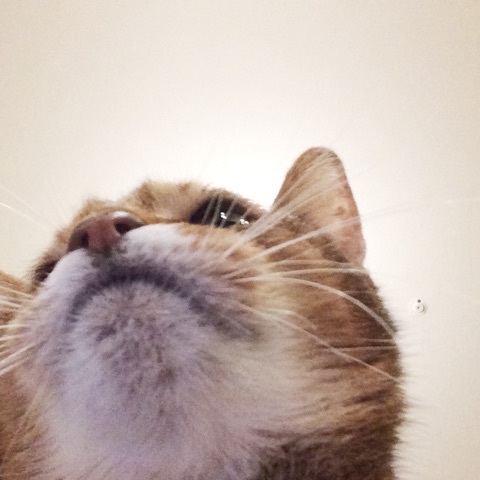 {8097709E-D1F4-4940-94B2-F334669C5E38:01}