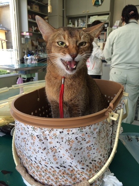 {2DF39484-EE86-446A-A017-378CBFC1F5E3:01}