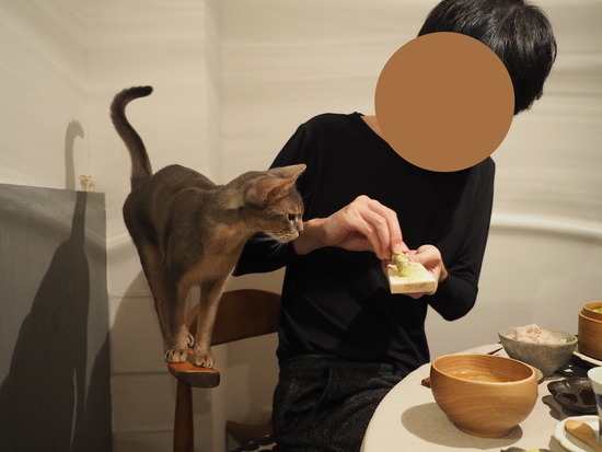 PB294862