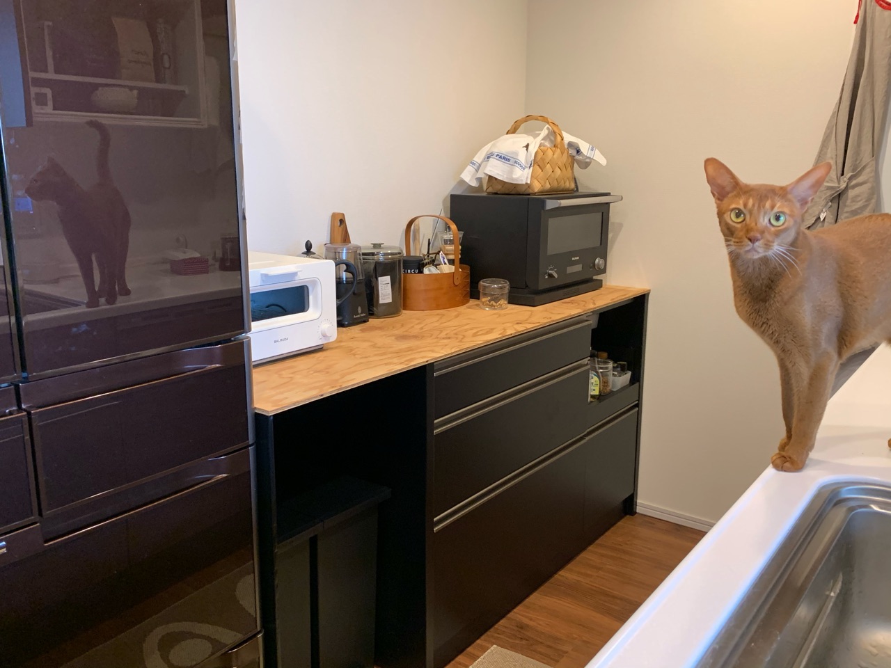 冷蔵庫をカッティングシートで黒にしてみた おうちごはんとおかしとねこ Powered By ライブドアブログ