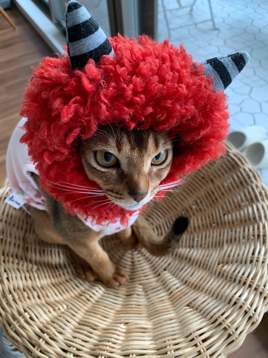 A7116563-C253-4D68-B349-F36800CE108B