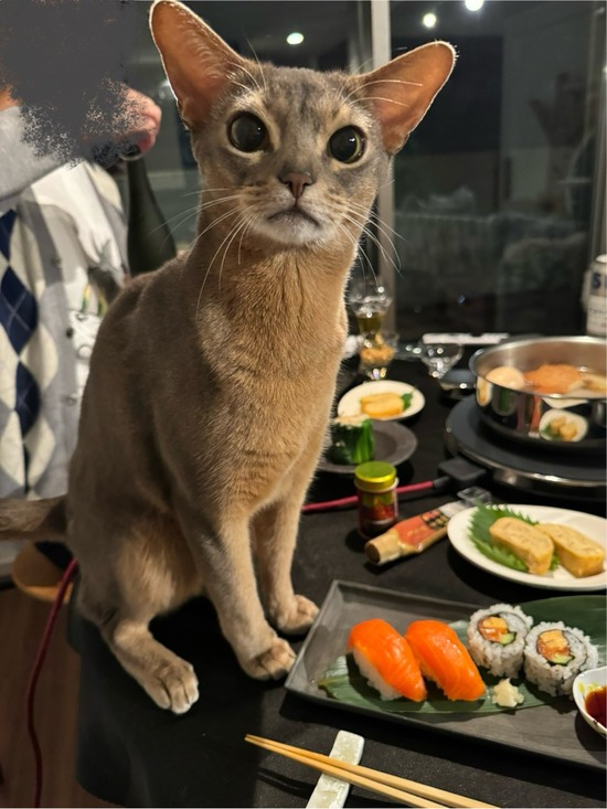 FullSizeRender