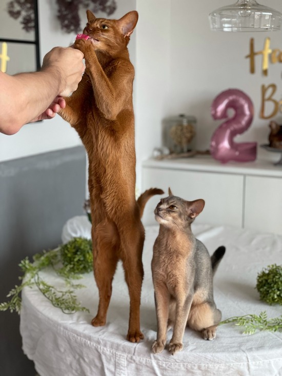 FullSizeRender