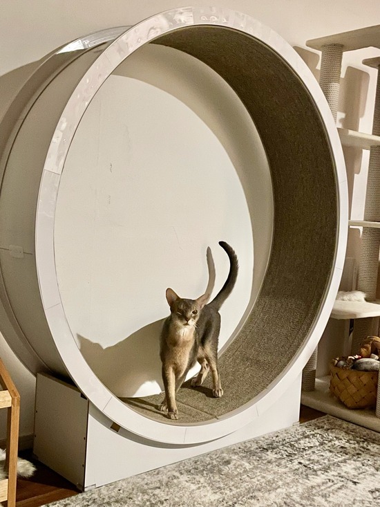 FullSizeRender
