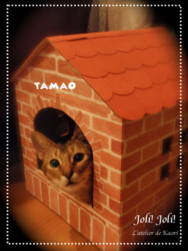 Joli!joli!のブログ-たまおうち