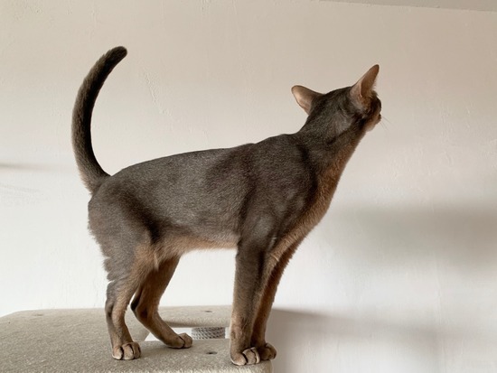 FullSizeRender