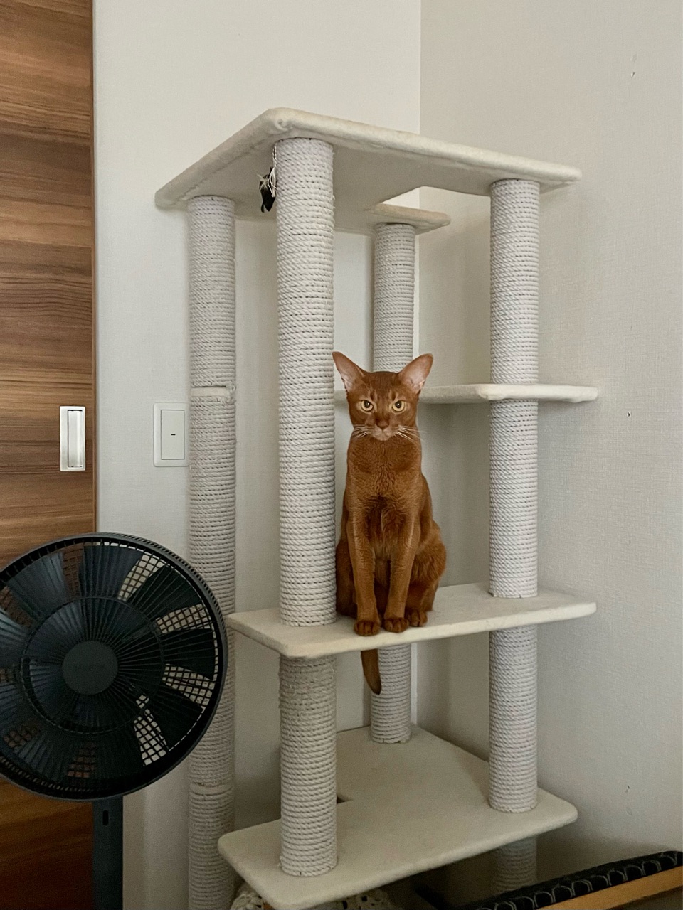 IKEA イケア　キャットタワー IKEA イケア キャットタワー