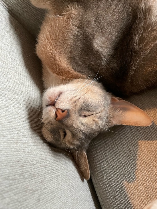 27CAE502-6276-4C3C-8080-E639F5577FDF