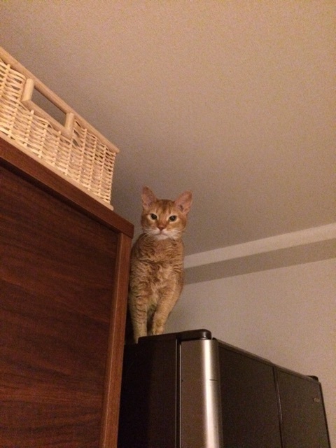 {3F26958B-0E5D-4C5D-BCAD-26614962728C:01}