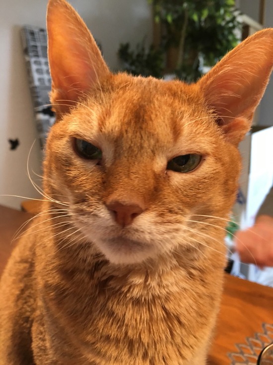 2011E9C9-FF64-4EB3-8870-8BCAF94DBF3C